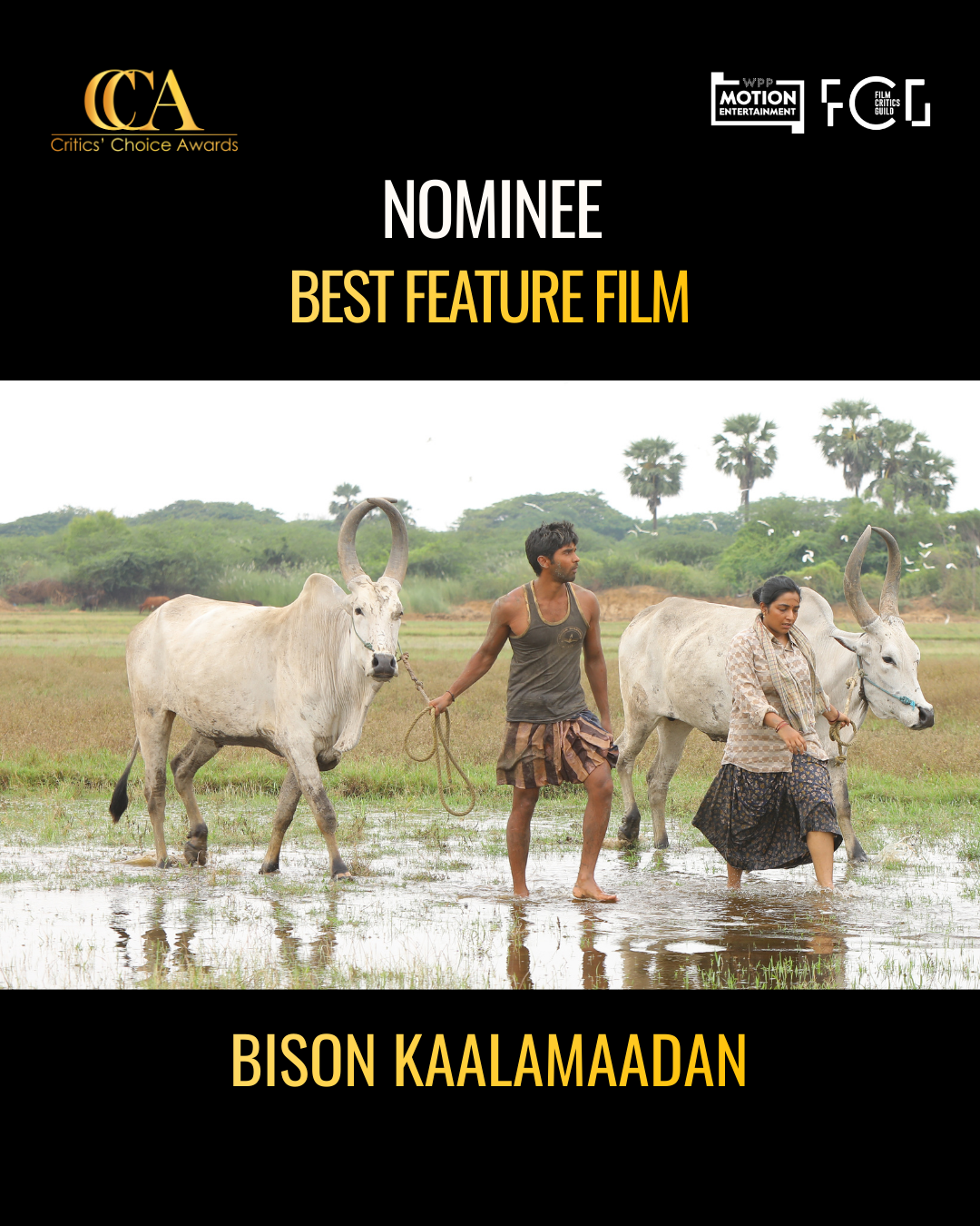 feature-film-img