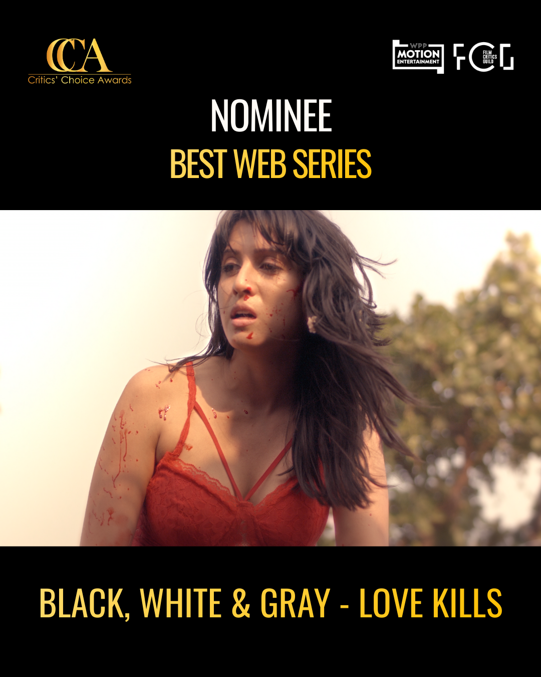 WEBSERIES-img